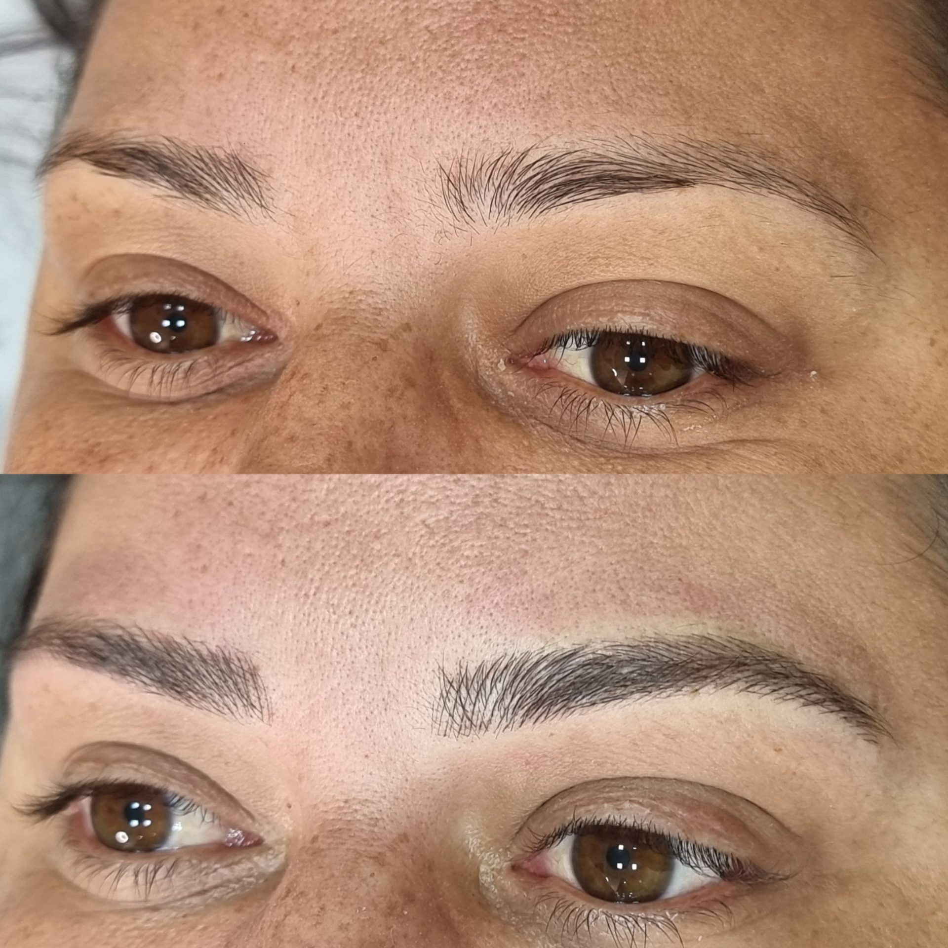 InShot_20240220_182656315