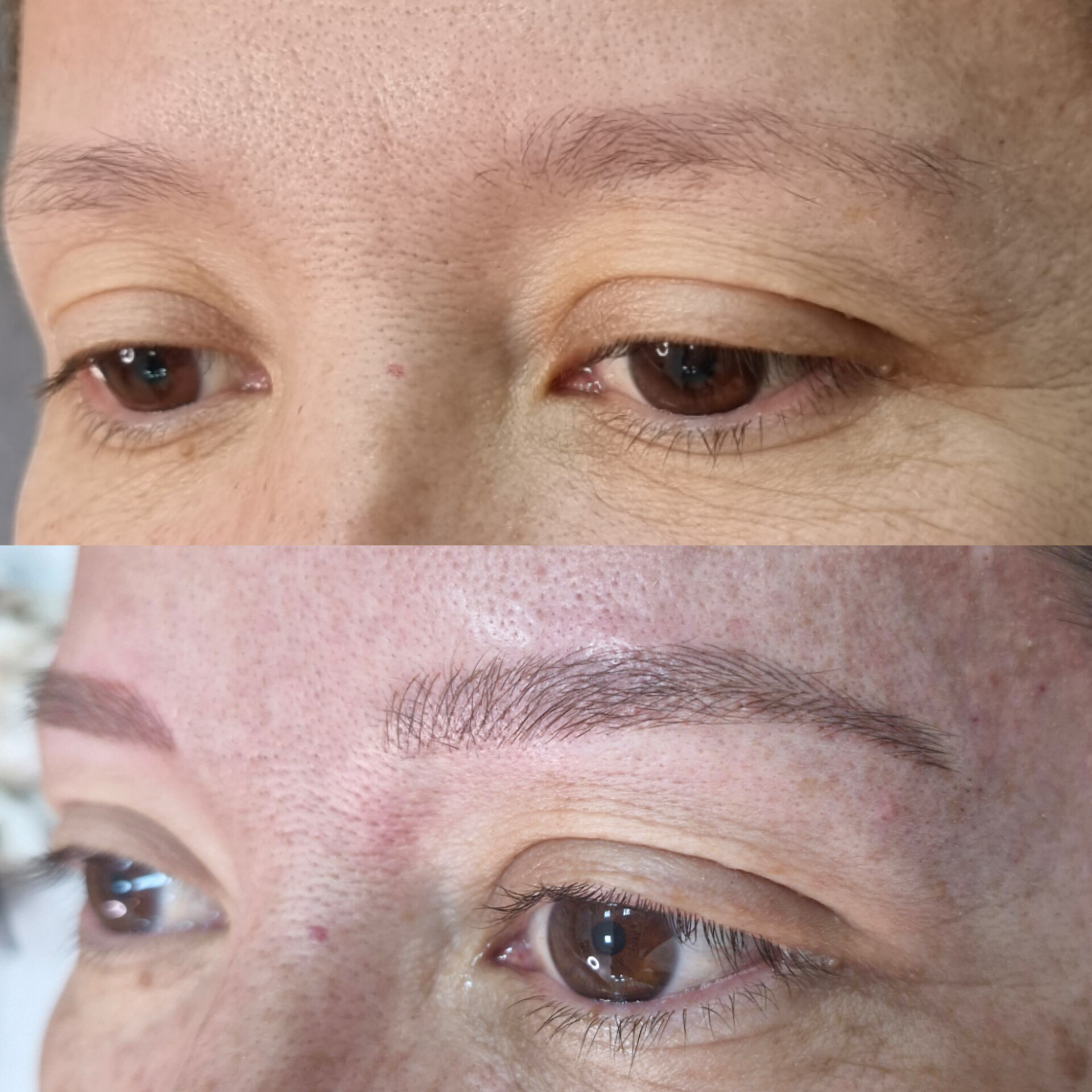 InShot_20250108_095029478